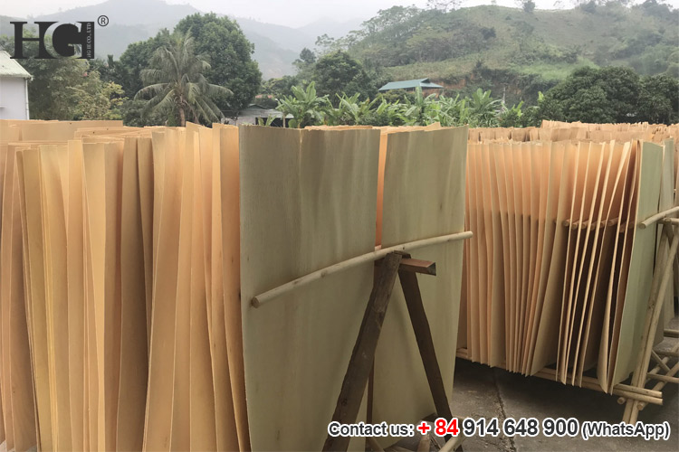 合板 - ベトナム合板樹種